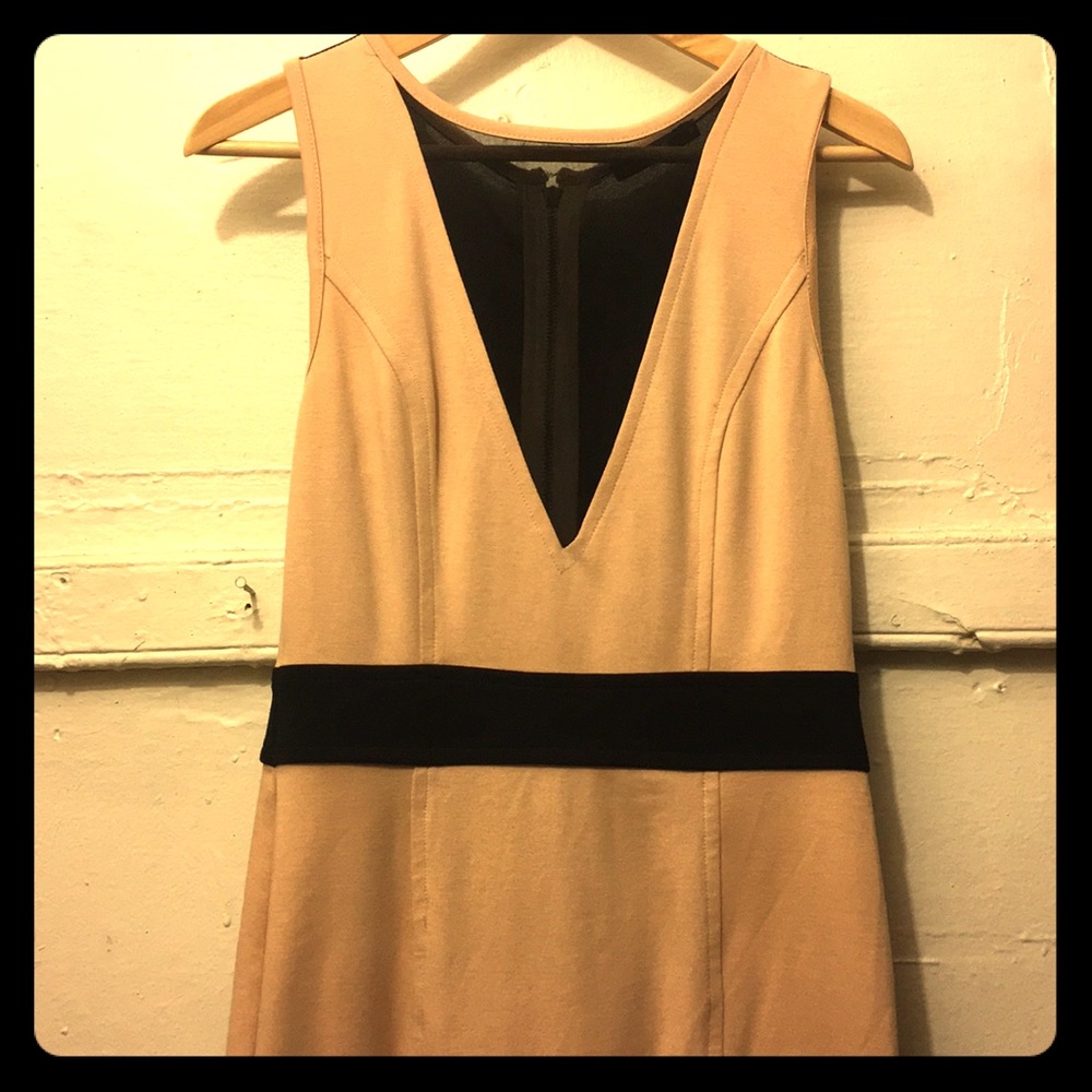 Modcloth Theme Beige and Black mesh dress